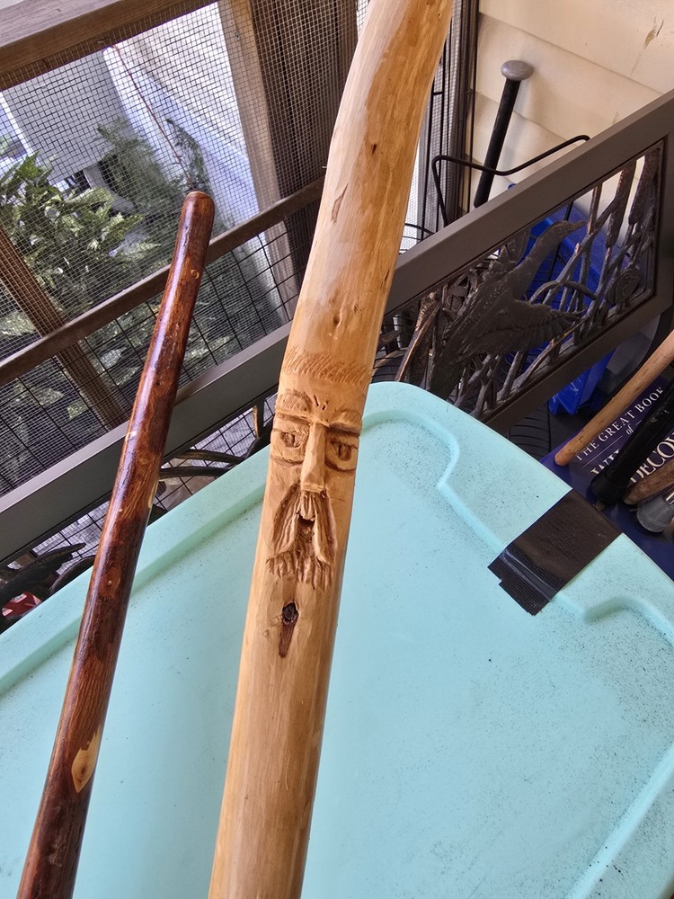 Hiking Sticks