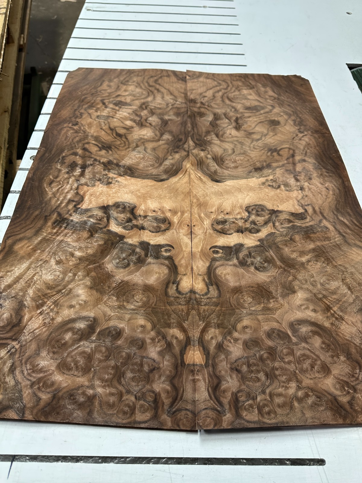 Walnut Burl Raw Wood Veneer 2 sheets 25'' x 10'' 319E