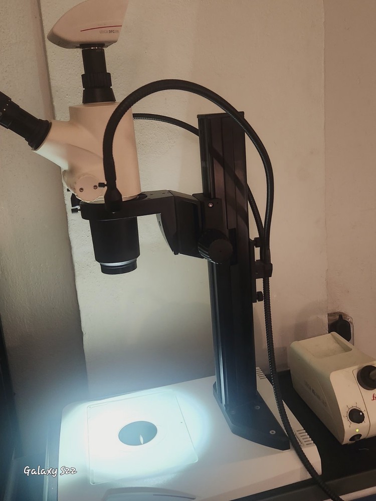Leica S8AP0 Microscope With Camera Attachment With Firewire Cable Included