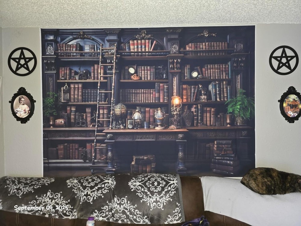 Medieval Bookshelf Backdrop Library Photography Background Studio Prop