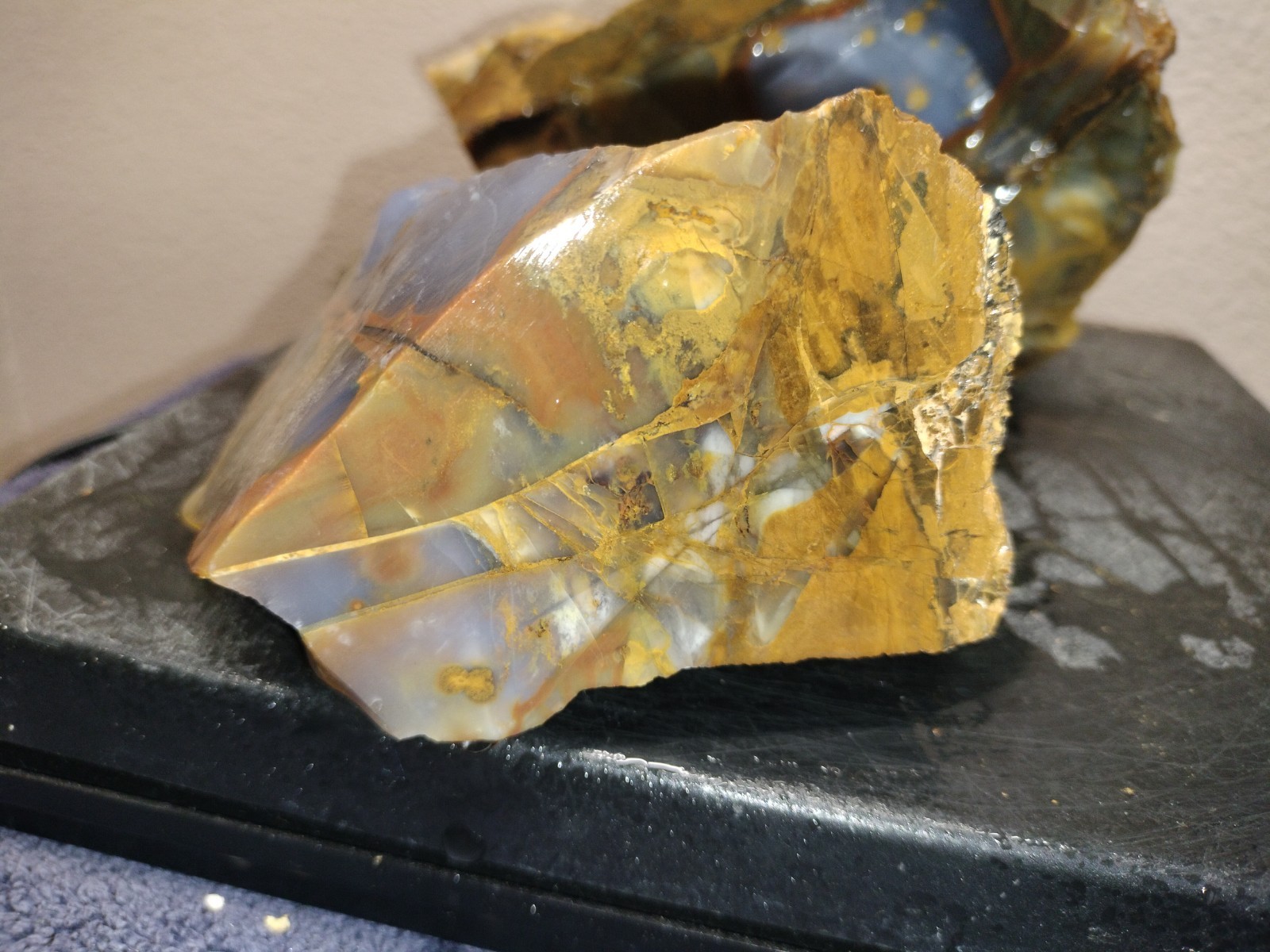 8.2LB 💙 Blue Ice Polka Dot Agate 2pc Rough Lot Ashwood, OR Cabochon Stock #24