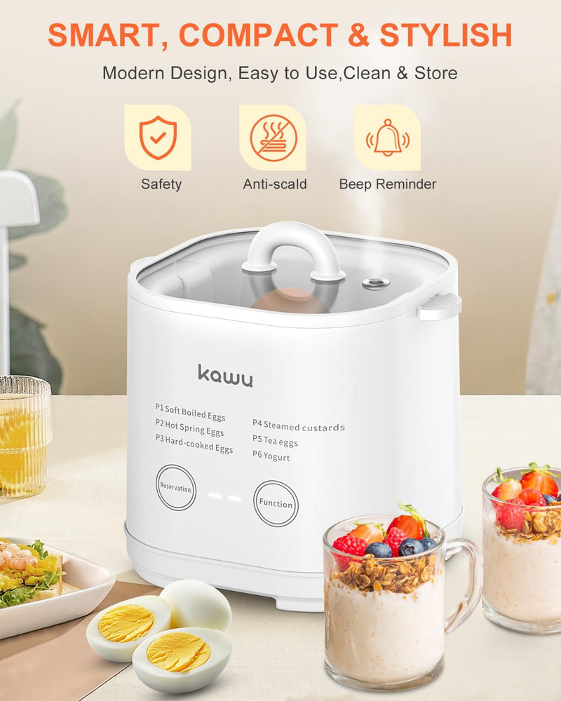 6-Function Egg Cooker Hard Boiled Eggs Boiler Timer Soft Electric Auto Shut Off