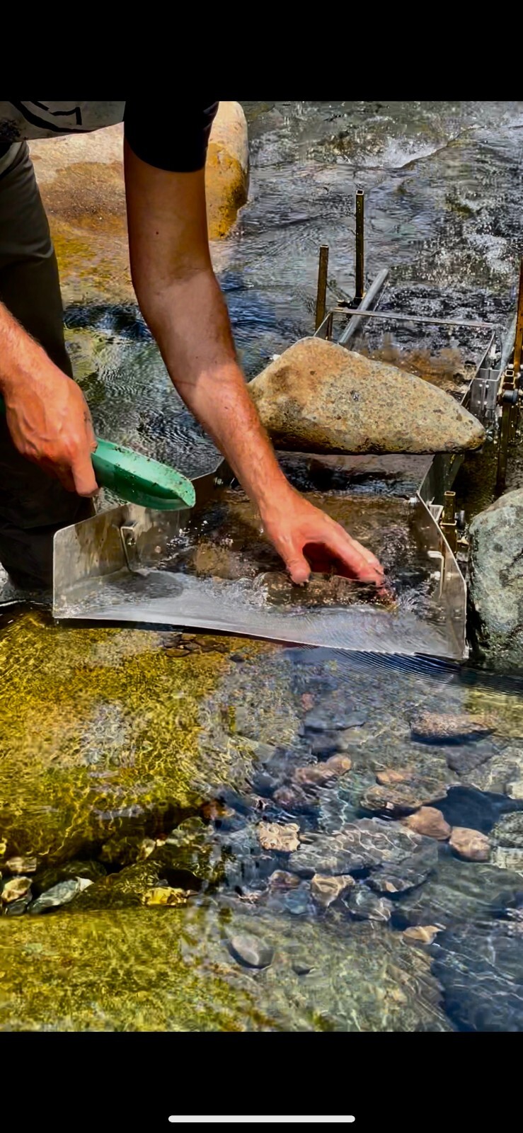 Presidential 10 Gram Gold Nugget Hunt Rich Unsearched Paydirt With Added Gold