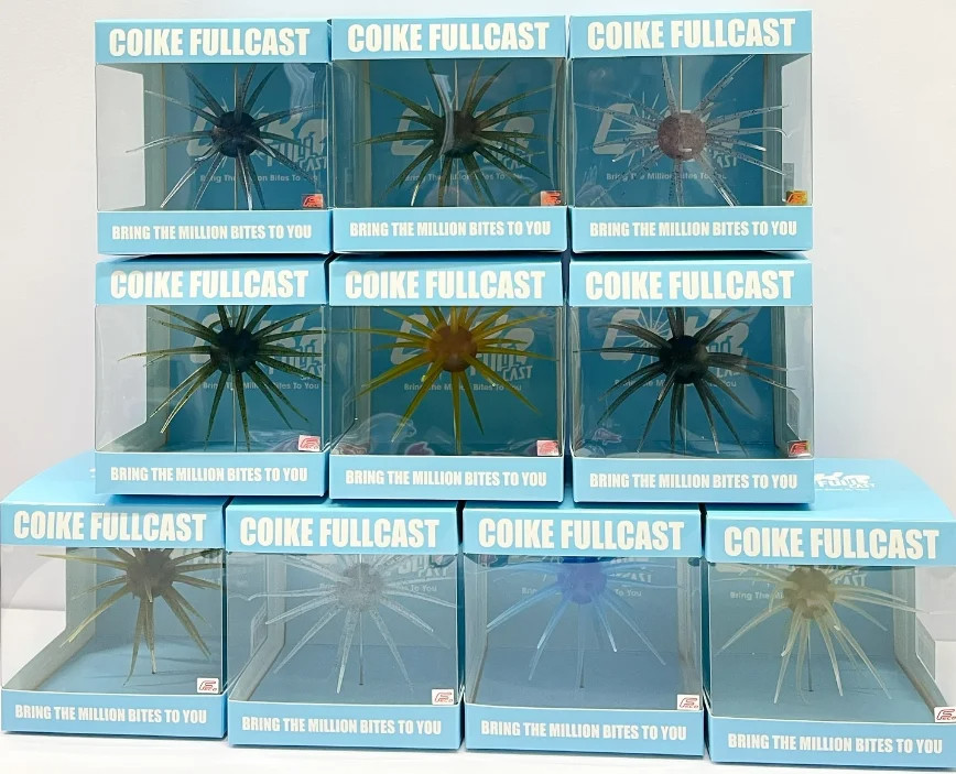 HIDEUP COIKE FULLCAST Non Soft Type Please Choose Color Creaturebait NEW Qty.1