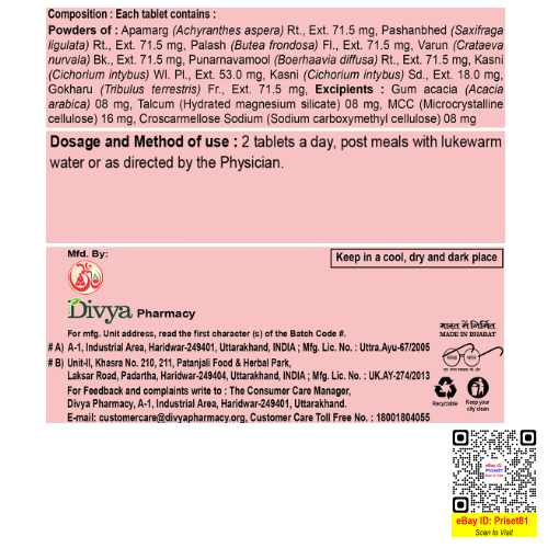 Divya Renogrit 60 Tablets | Fast Shipping