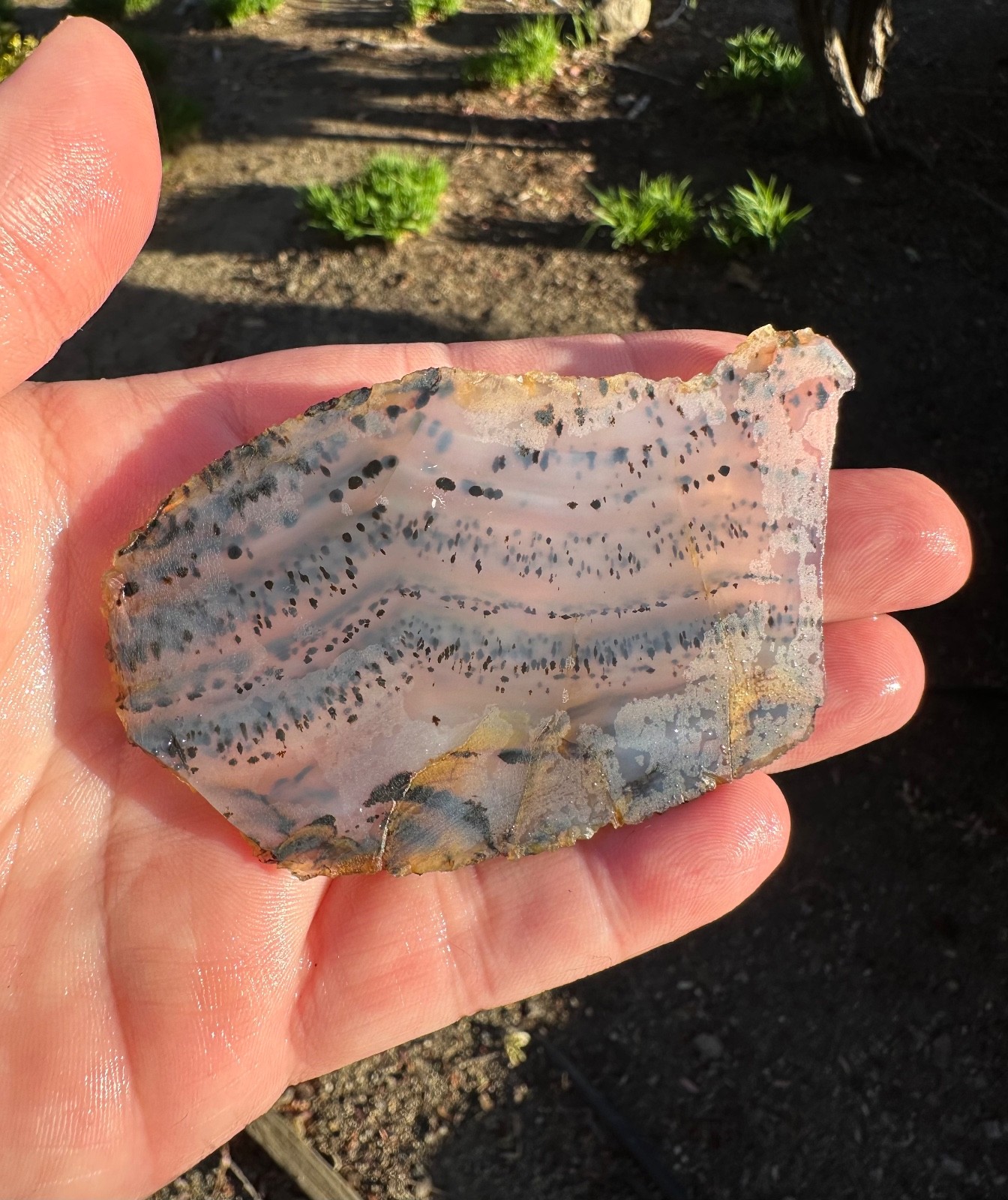 Montana Moss Agate End Cut, 58g, Cabbing/Lapidary