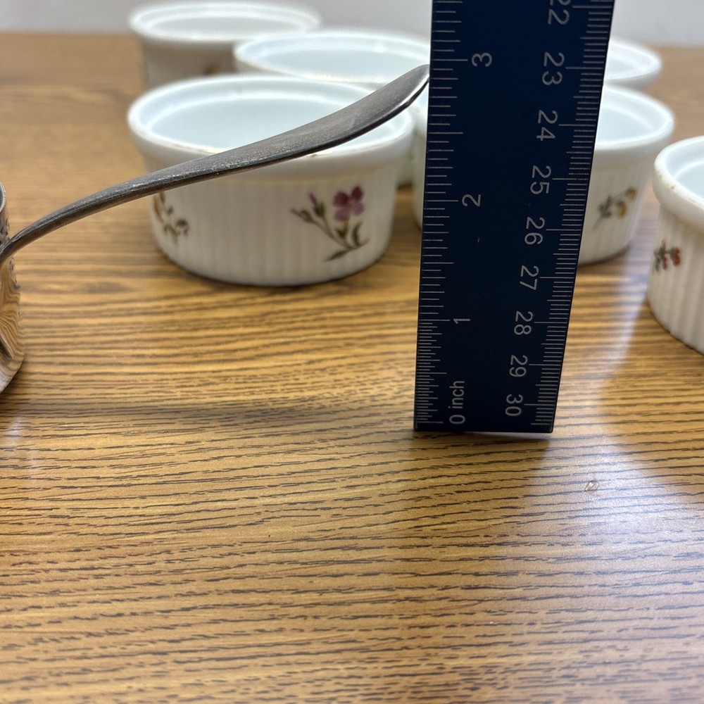 Antique 6 E.G. Webster & Son 1900s Silver Plate Ramkin Springer Austria Holders