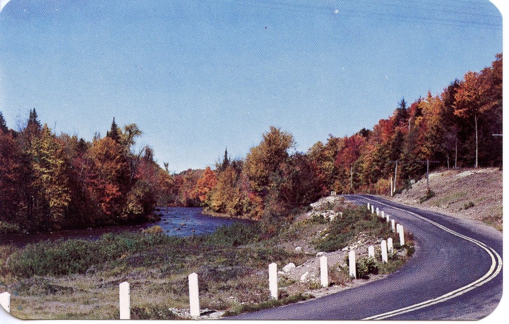 ROADSIDE BEAUTY - PC925