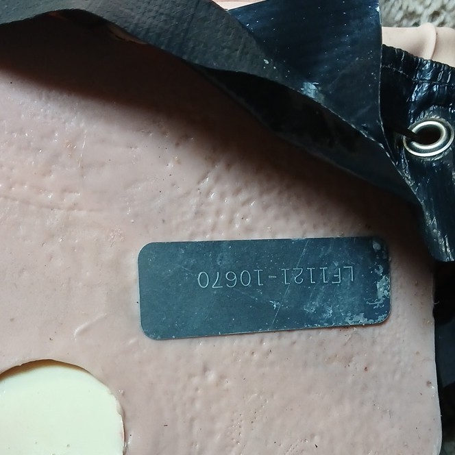 life form advanced injection arm