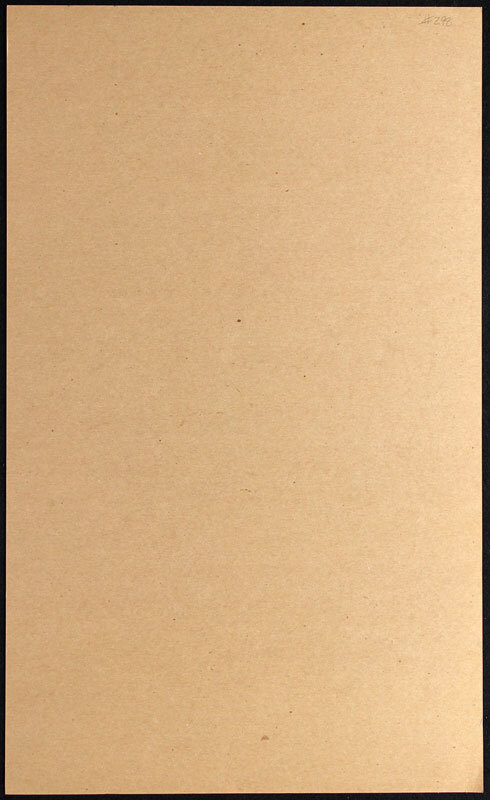 Bonnaroo Music Festival Poster Neil Young Widespread Panic James Brown Mike King