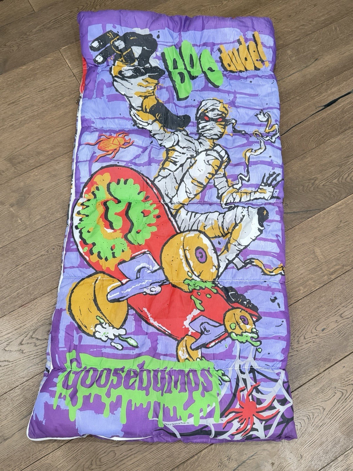 Vintage Goosebumps Skateboarding Mummy Sleeping Bag RL Stine Halloween 27x54