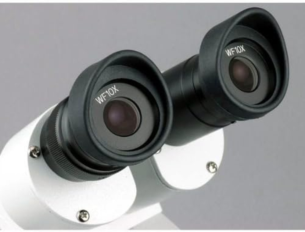 Sharp Forward Stereo Microscope 10X-30X