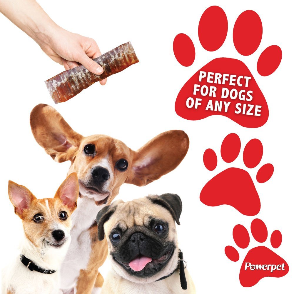 6 INCH Beef Trachea- BULK- Natural Dog Chew-100% BRC CERTIFIED