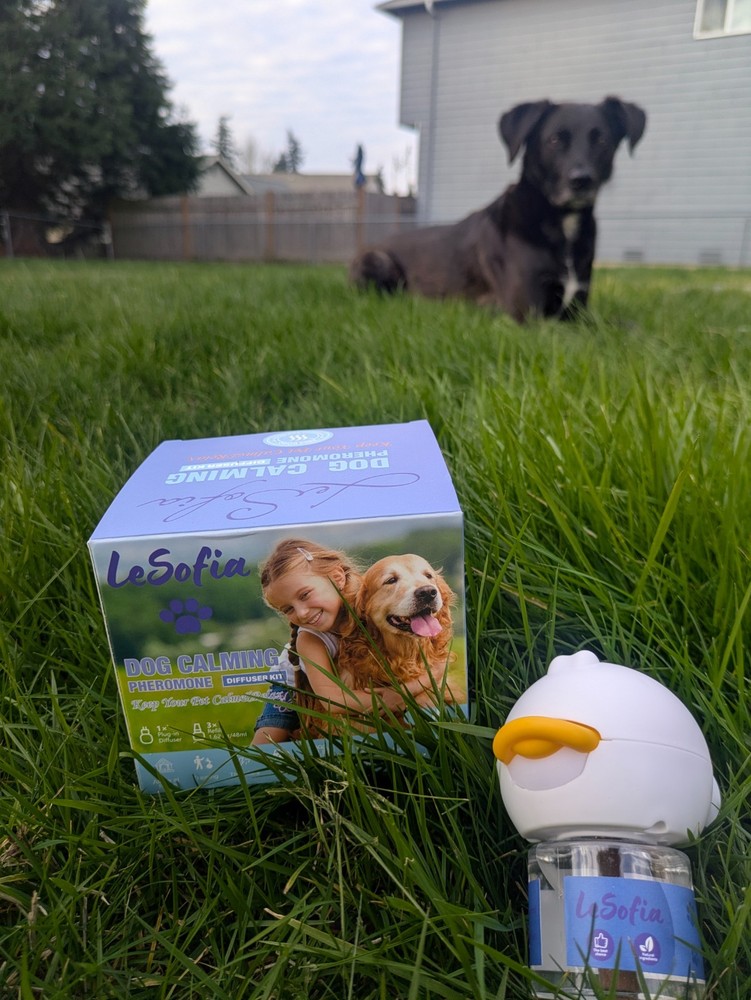dog calming diffuser
