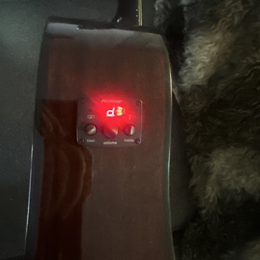 Fender Acoustic Guitar COMES WITH HARDSHELL CASE