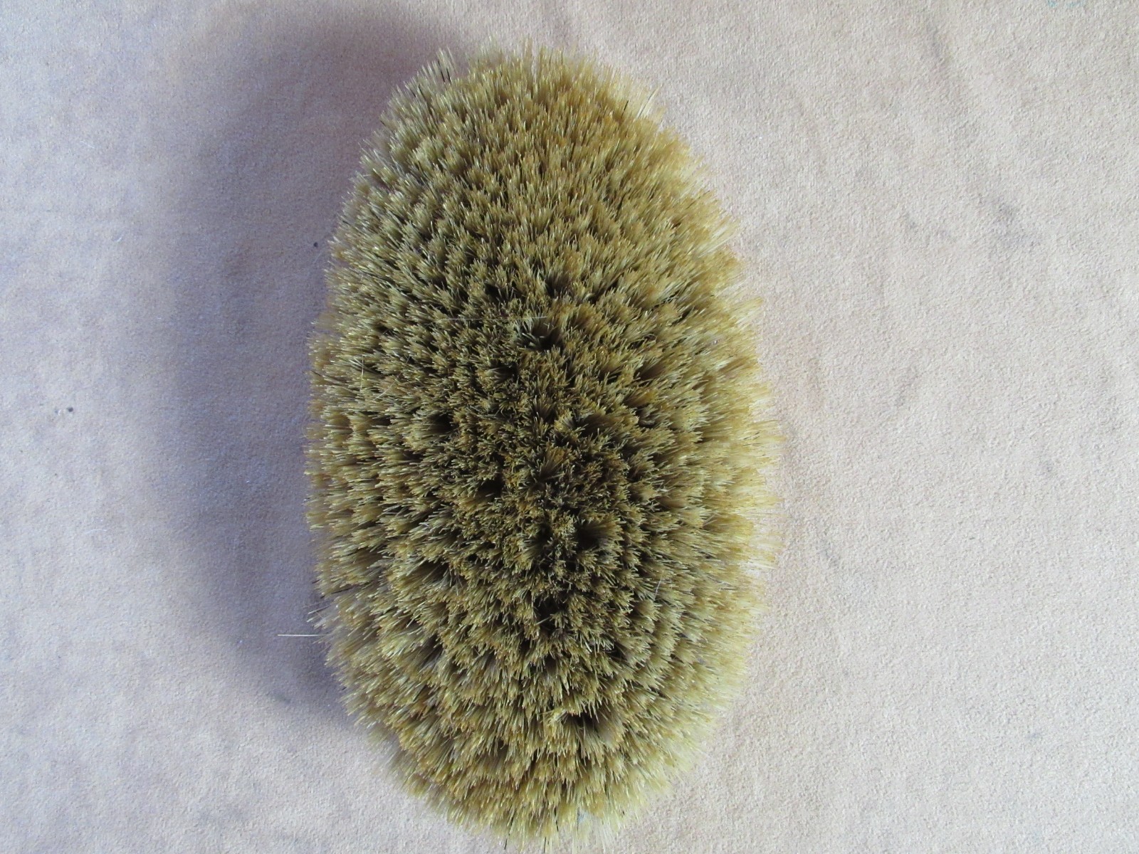 Civil War Patriotic Eagle Our Bird Leather US Cavalry Horse Grooming Brush 1860s