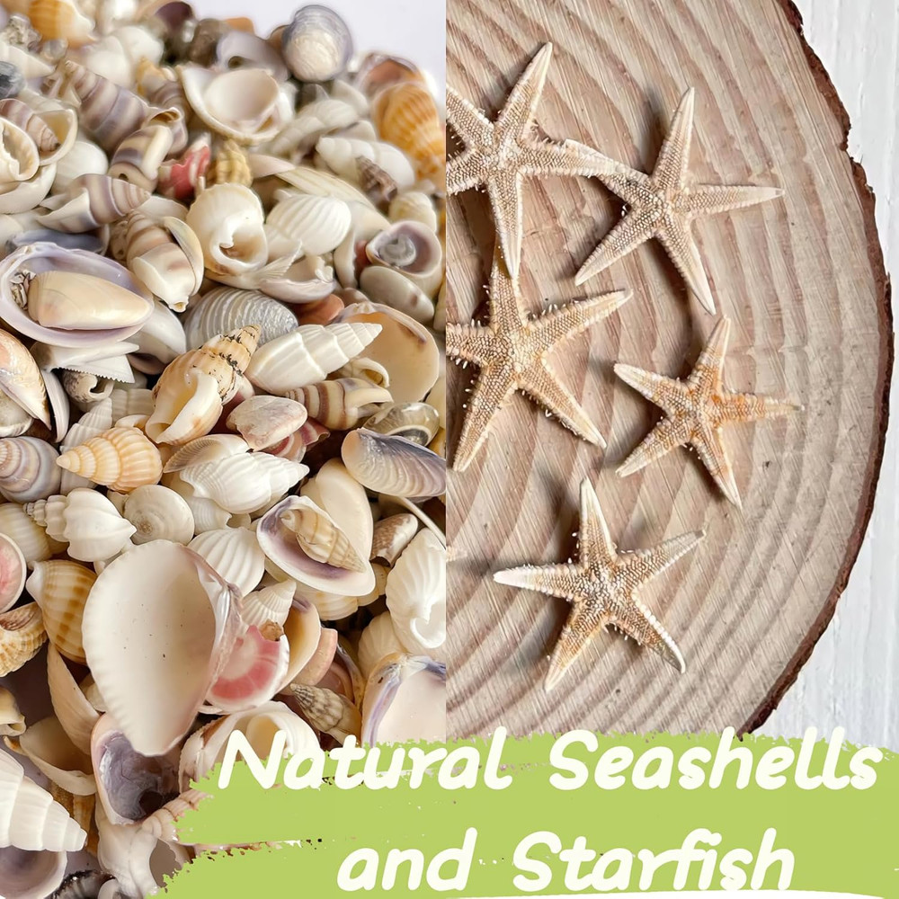 1200 PCS Tiny Sea Shells &10 Small Starfish - Mixed Ocean Beach Spiral Seashells
