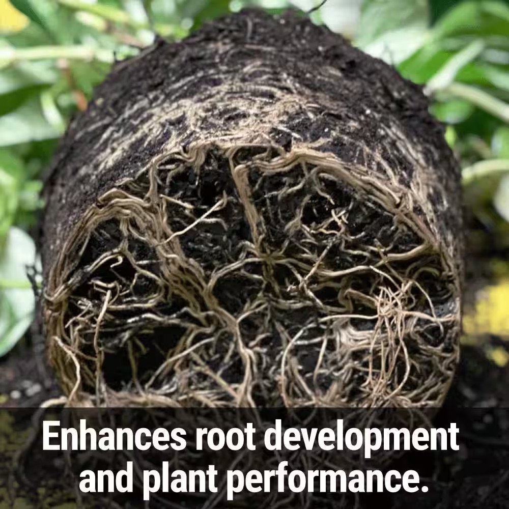 Root Boost Pint Concentrate