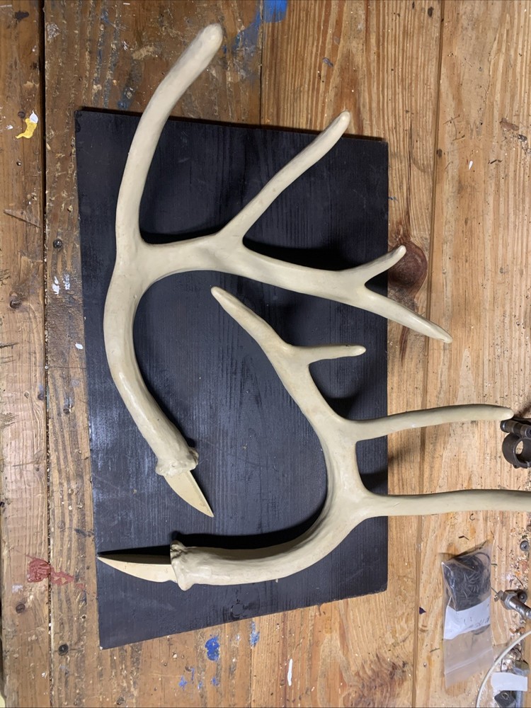 WHITETAIL Deer Decoy Antler Replacement