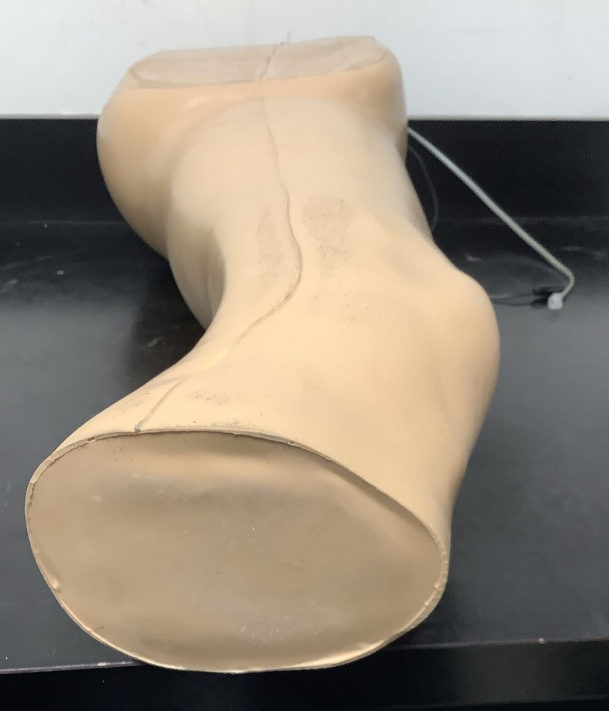 Sawbones Hip Conductive Injection Model 1516-2