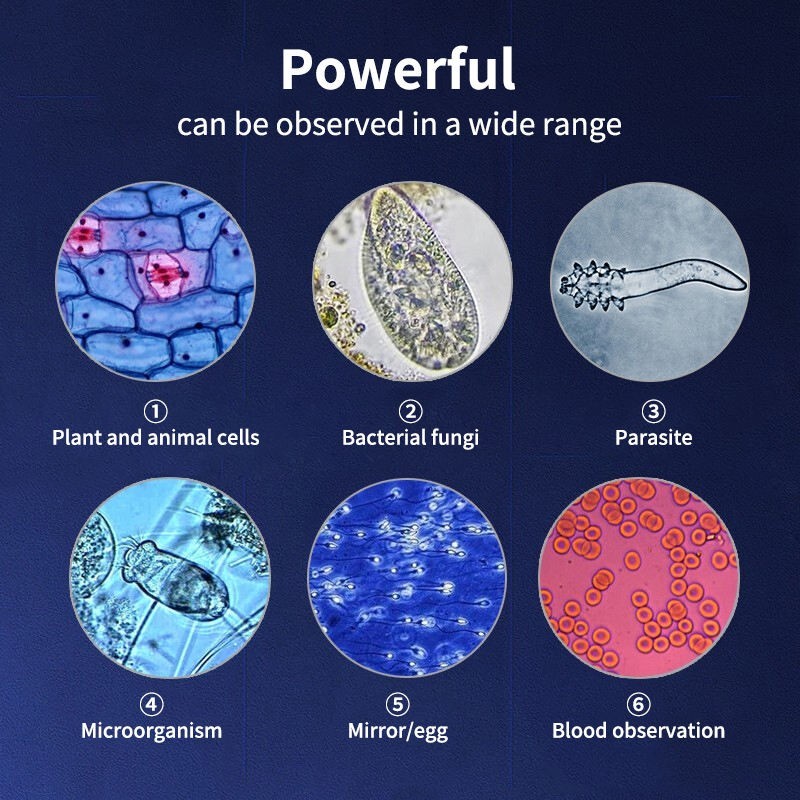 OMG M83E11 40 X -2500 X Trinocular LED Lab Compound Microscope with Double Layer