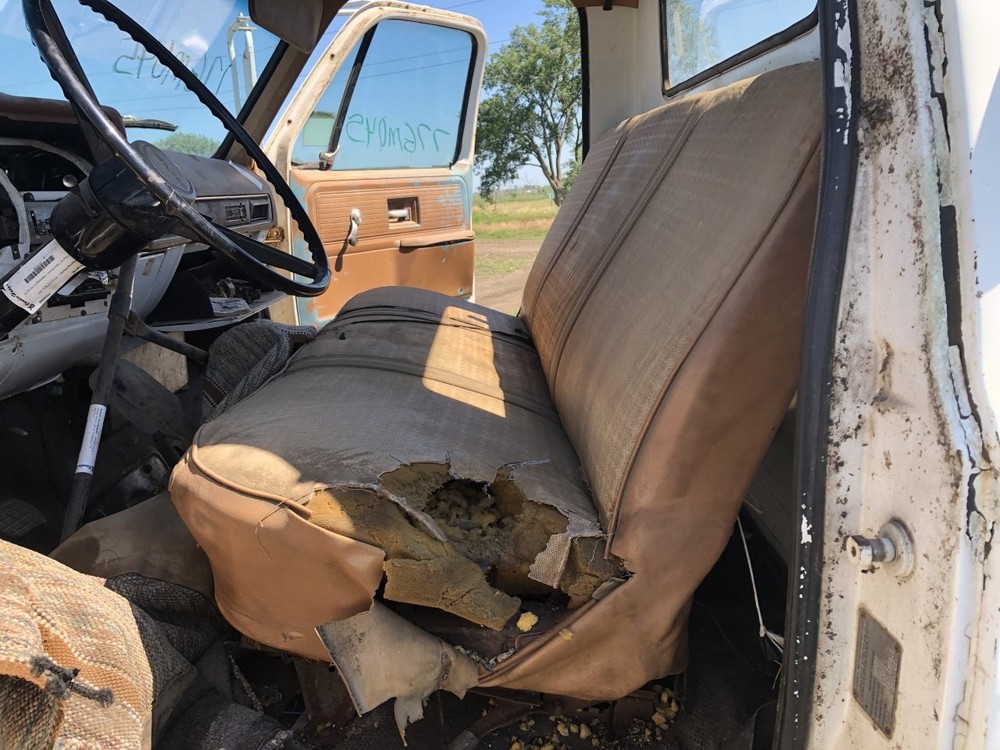 GMC 6000 Seat - Used
