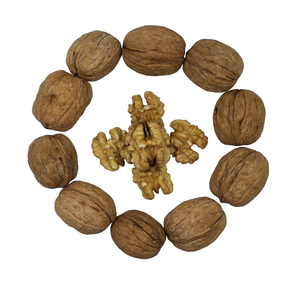 FirstChoiceCandy whole walnuts enclosed within their Shell