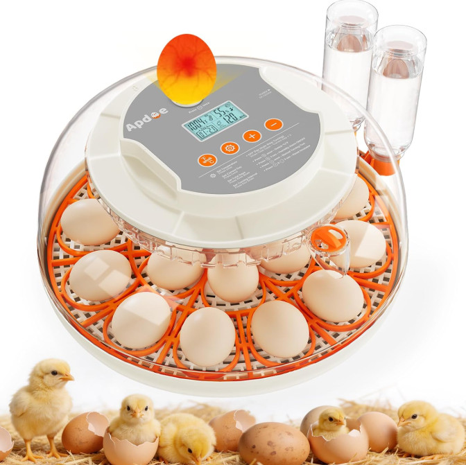 Egg Incubator 18 Eggs Temperature Humidity Control Automatic Turning Incubators
