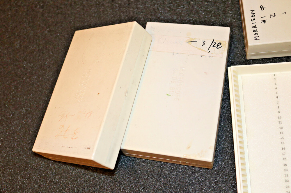 Fisher Scientific Microscope Slide Boxes for 25 slides #3-450-5
