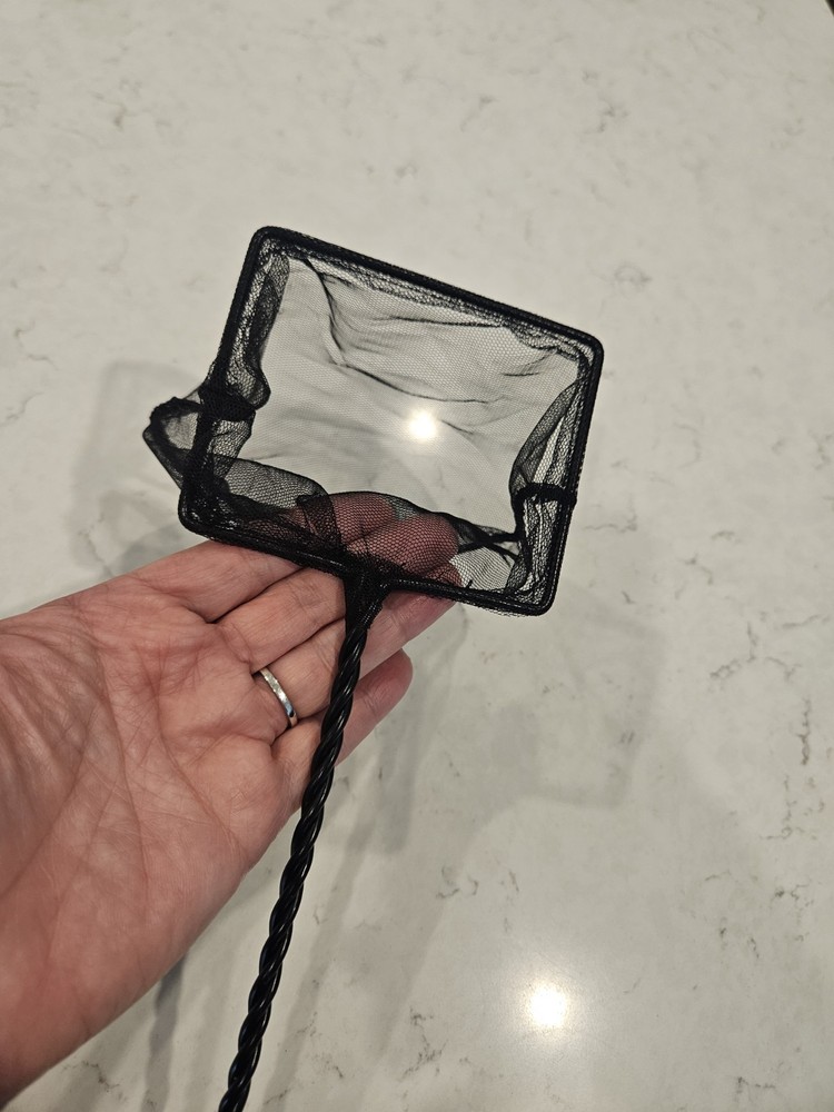 Fish Tank Supplies