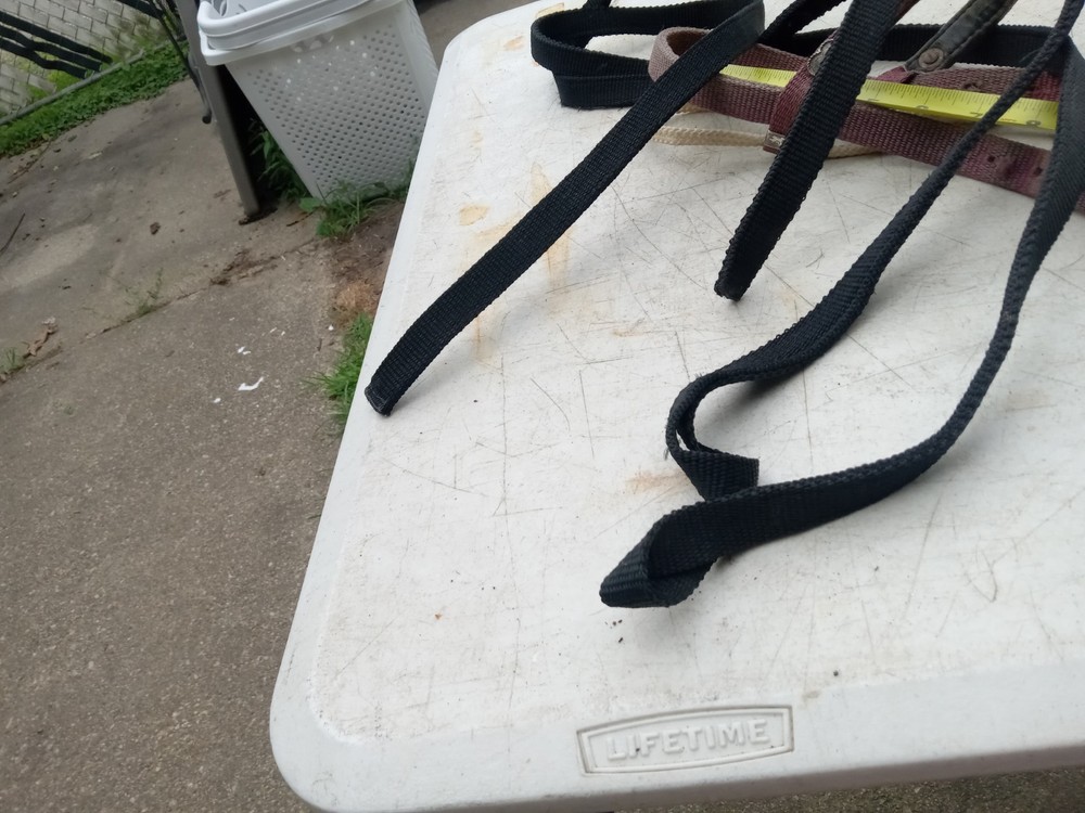 used nylon Western pony bridle