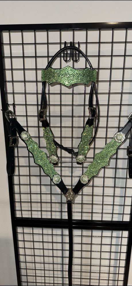 horse tack set