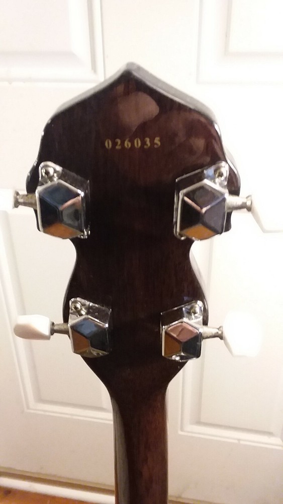 Dean Banjo with pickup.