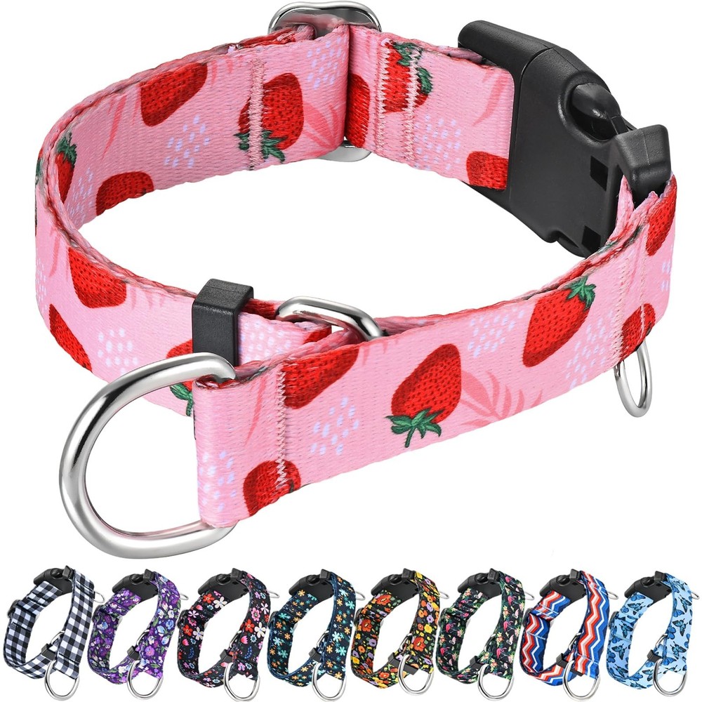 Martingale Collar for Dogs with Pink Strawberry Pattern No Pull Training Nylo...
