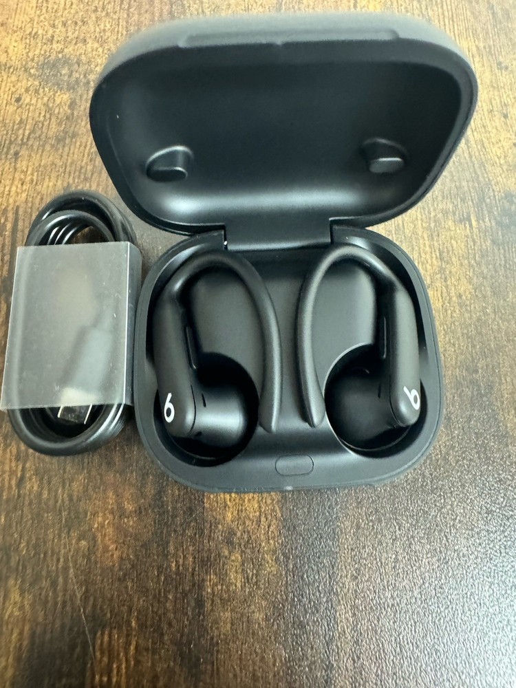Beats Powerbeats Pro 2 Wireless Earbuds - Black