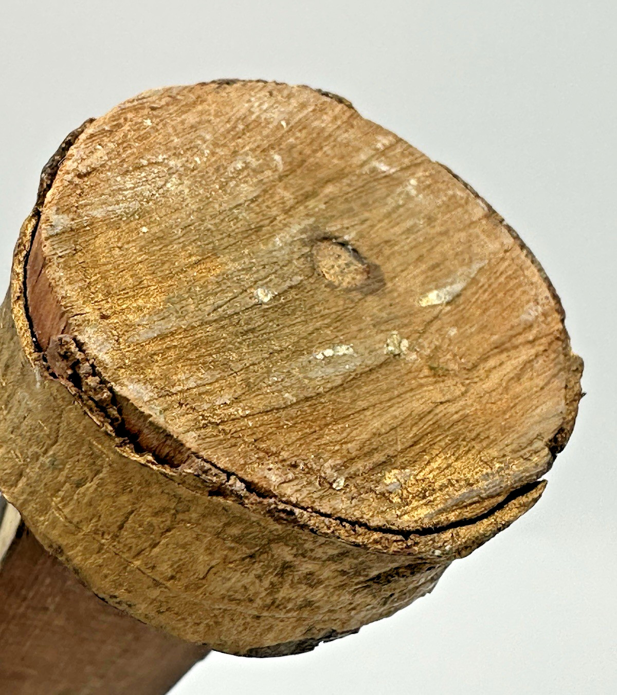 Old 12 1/4" Pacific Northwest Coast Carved Cedar Totem - Antique Native American