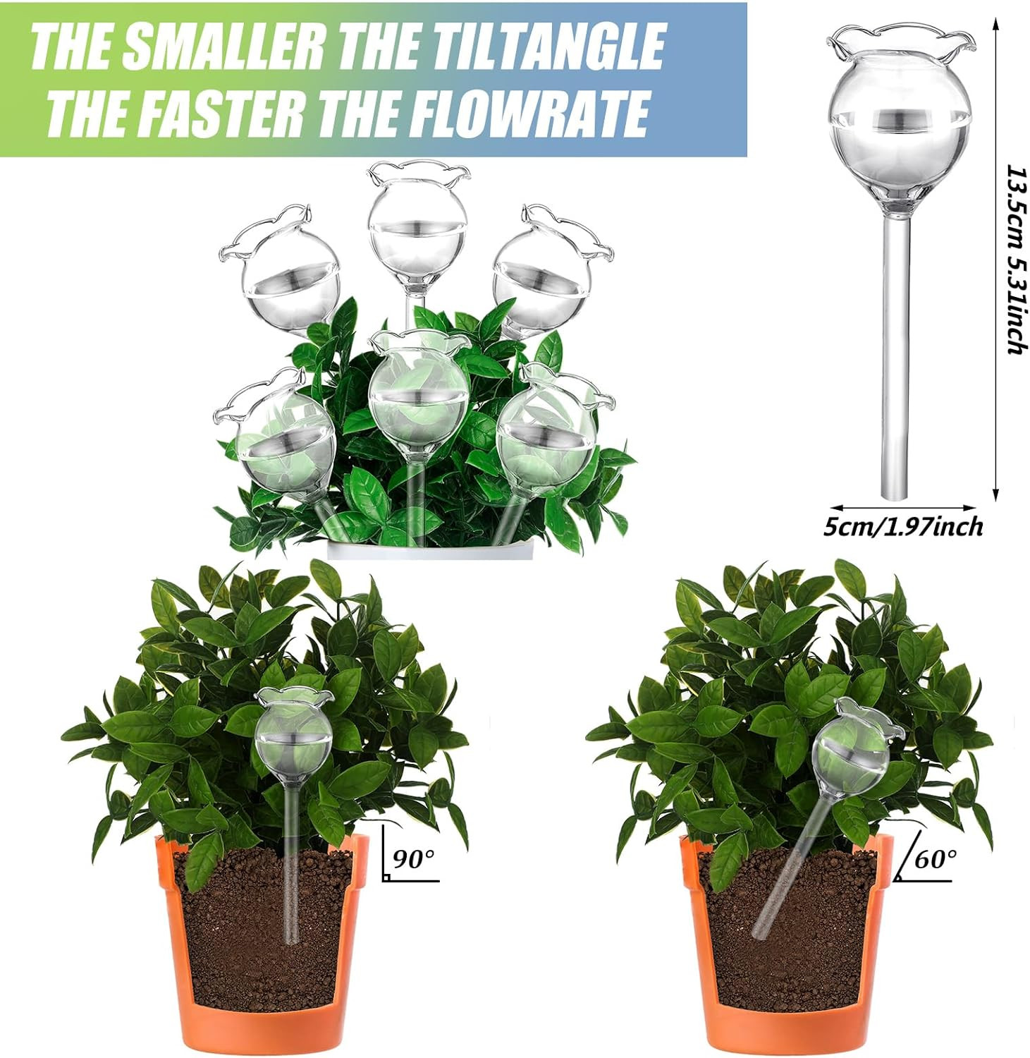 6 Pcs Self Watering Plant Globes Glass Cactus Insert Watering Devices Automatic