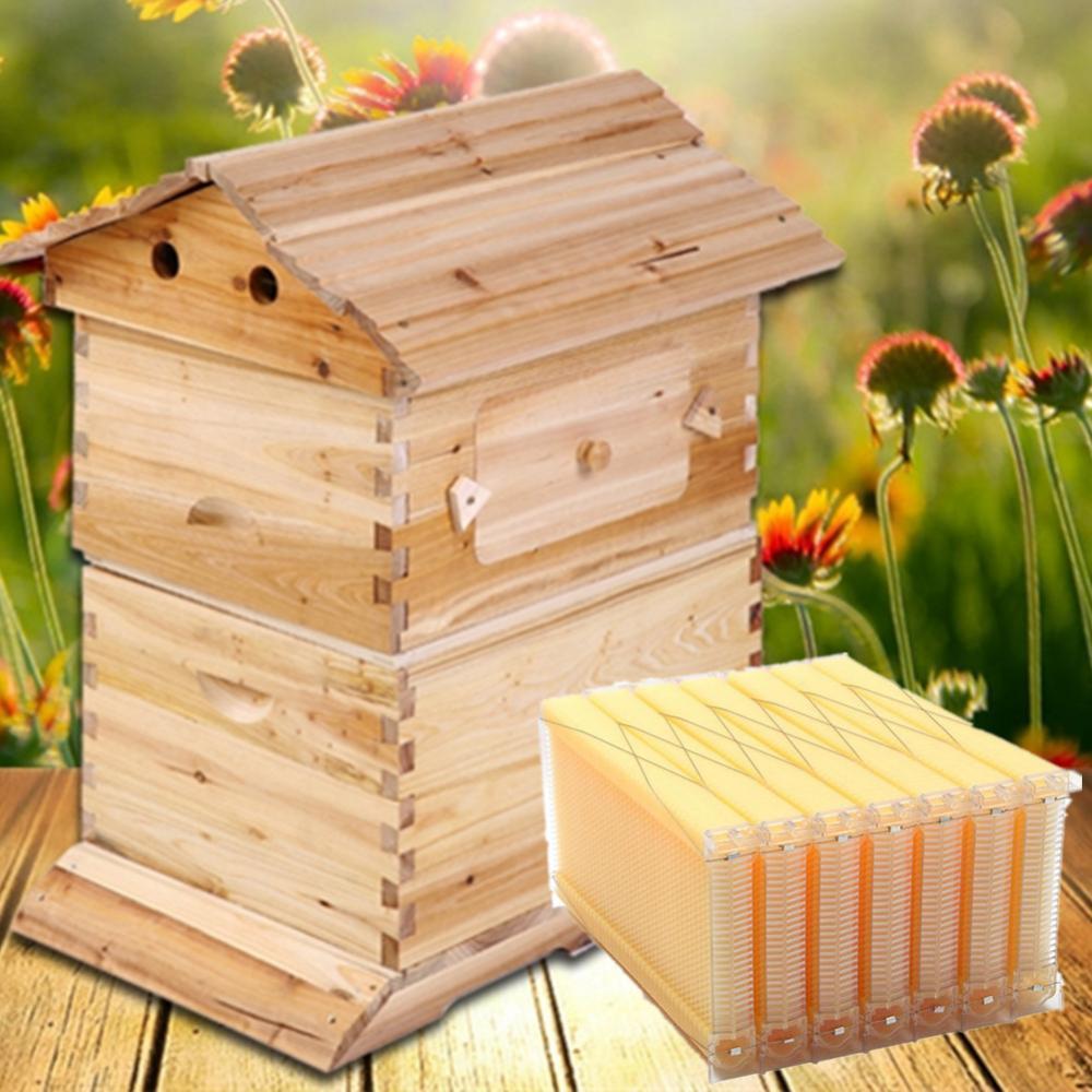 Auto Seep Beehive Beekeeping Hive Beekeeping Bee Boxes +7 Honey Bee Hive Frames