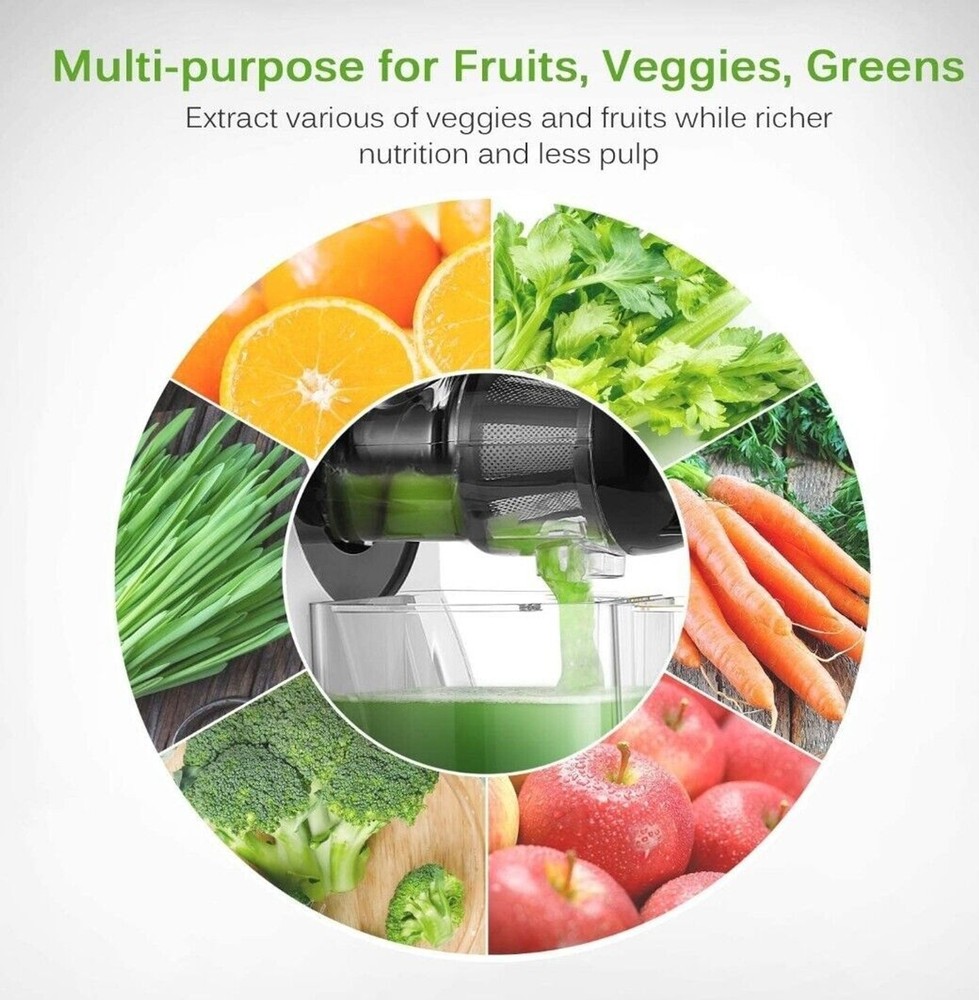Portable Hand Juicer, Juicer Machines with Reverse Function, Cold press, Silver