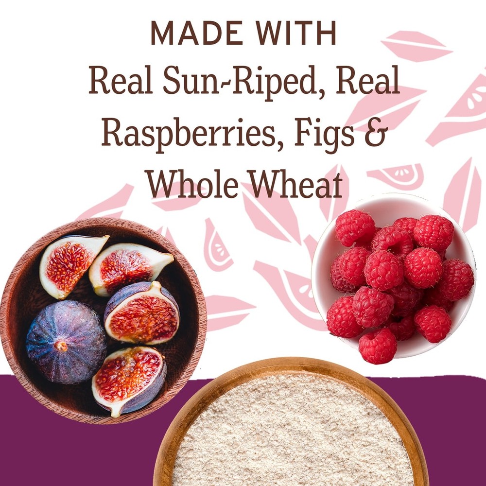 Nature's Bakery Raspberry Fig Bars Snack, 10 Pack, 2 oz Each, Box