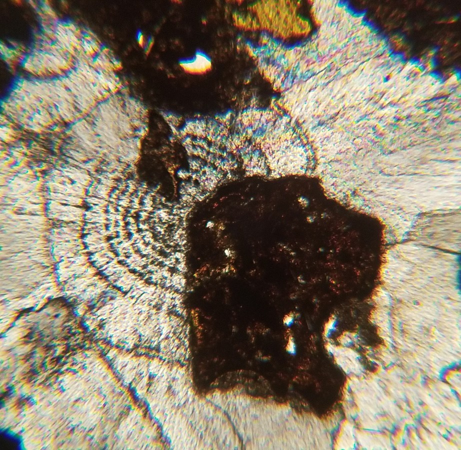 Thin-section Mount from DSDP Hole 385 Petrographic Microscope Slide 43-385-23-3