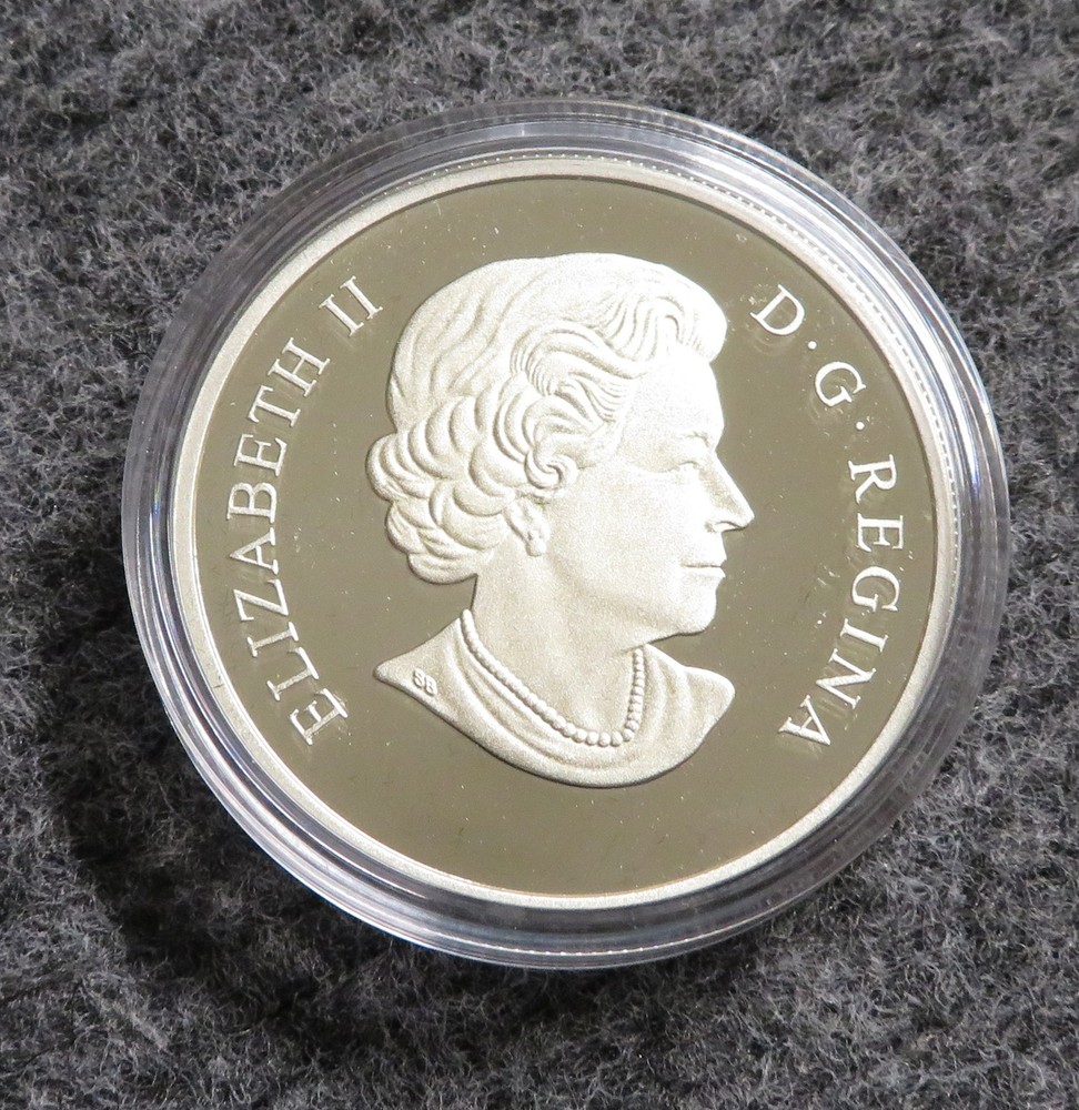 2014 Canada $20 Silver Proof Coin - Bald Eagle Catching Fish