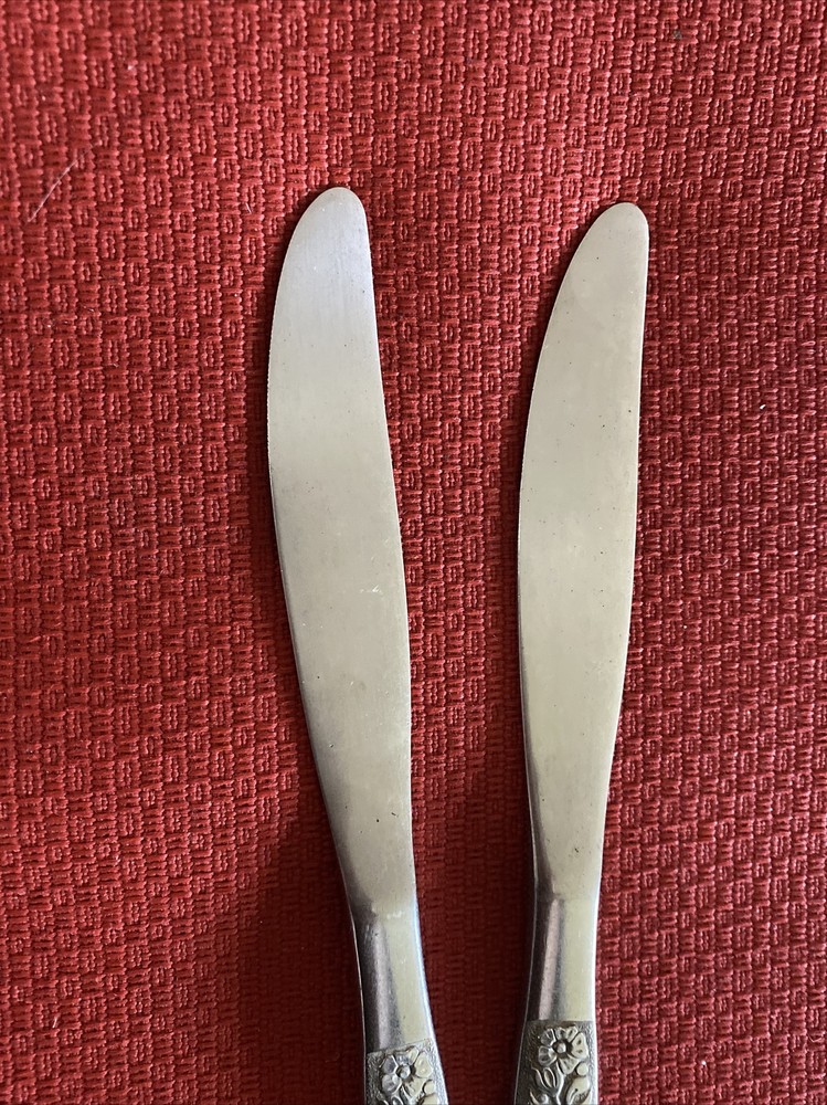 2 Oneida Malibu Stainless Dinner Knives
