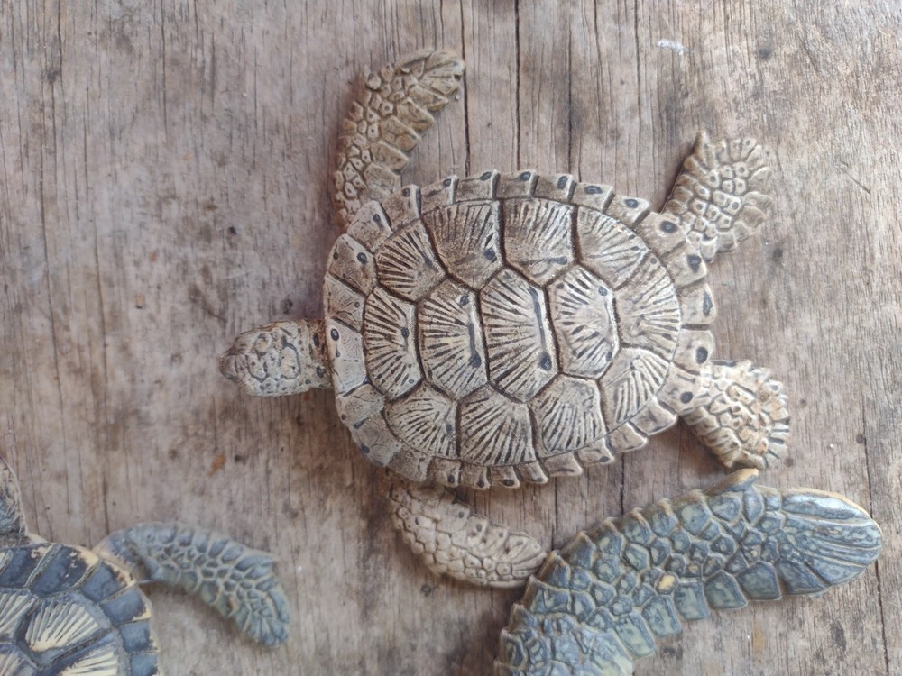 rubber turtles decor