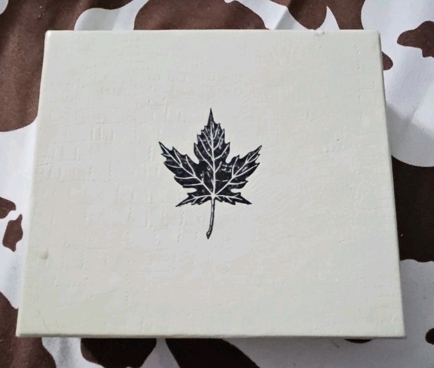 1982 Canadian Constitution Dollar Proof In Maple 🍁 Leaf BOX