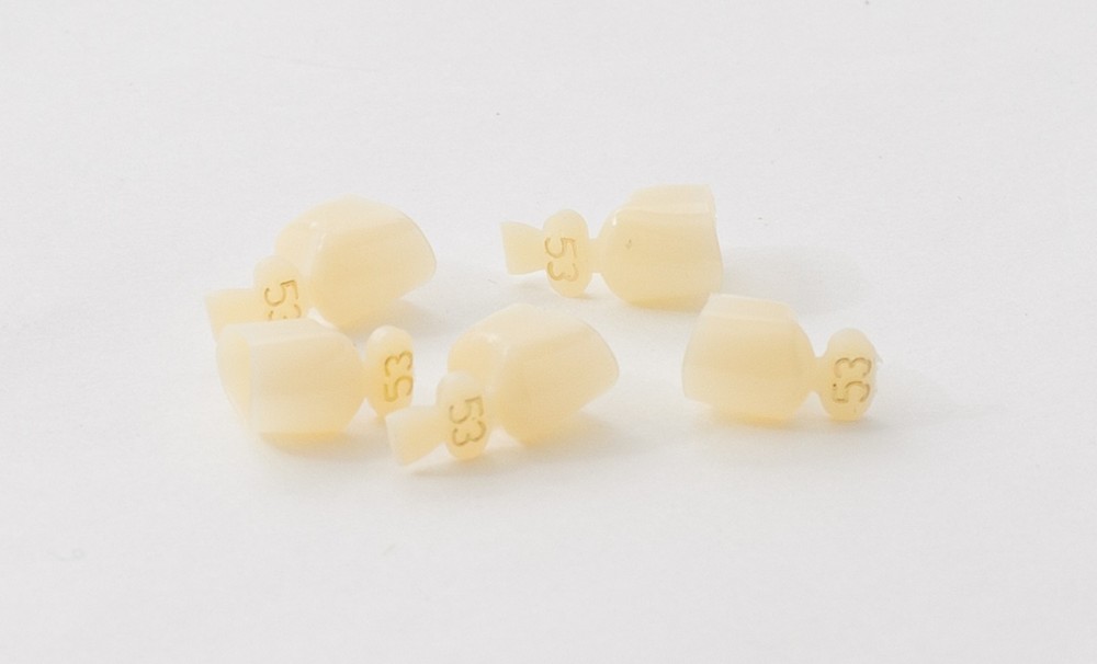 DENTAL POLYCARBONATE TEMPORARY CROWNS #53 SECOND (2ND) BICUSPIDS LARGE 5/PACK