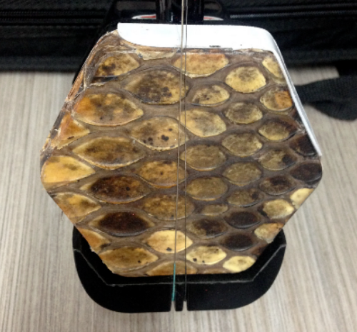 Erhu, Chinese 2-stringed Fiddle, Solid Timber Body,Neck+ Foam Case, Extra String