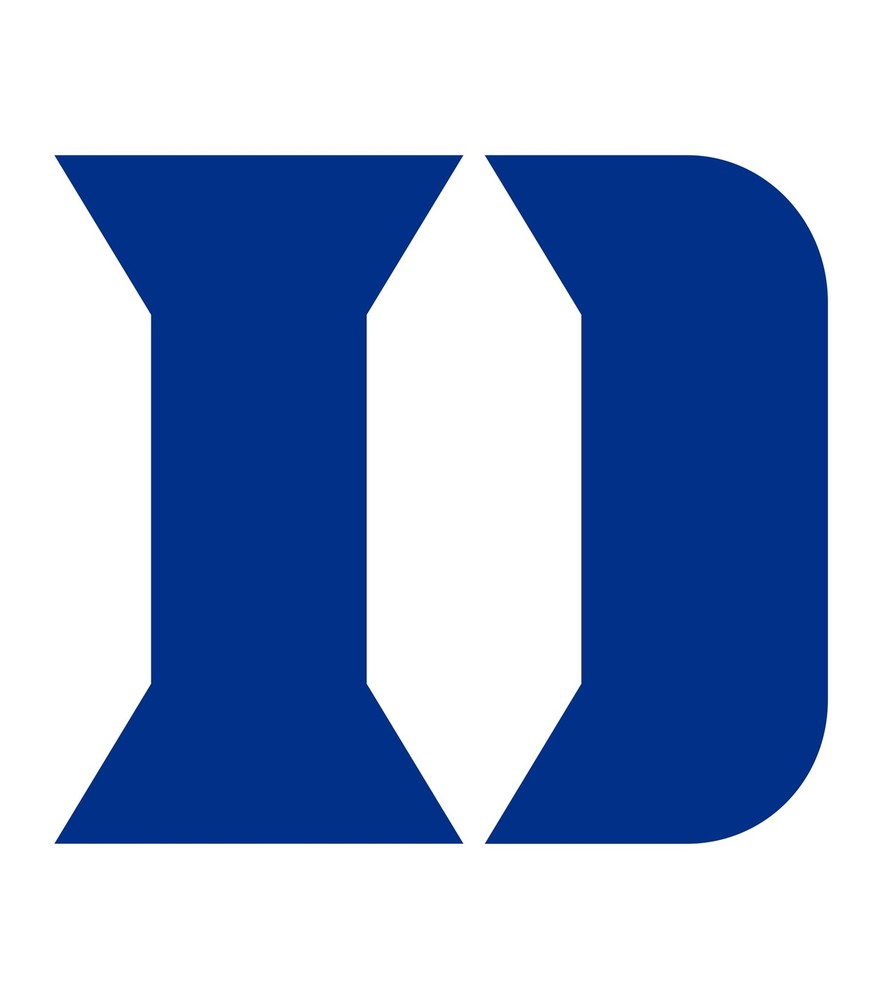 Duke Blue Devils stencil logo  - Reusalble Pattern - 10 Mil Mylar
