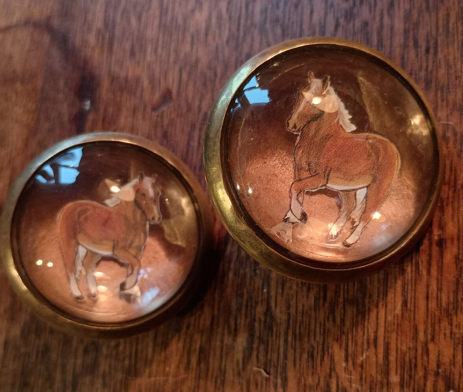 Bridle Loop Rosettes Haflinger for Headstall Harness Glass Dome and Brass