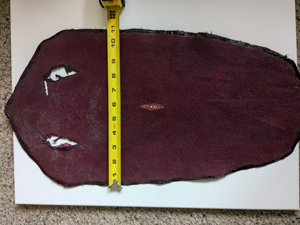 11" burgandy stingray pelt